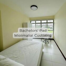 Blk 14 Ghim Moh Road (Queenstown), HDB 4 Rooms #574345961